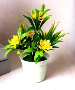 Petal Leaf Succulent