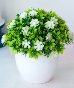 Petal Leaf Succulent