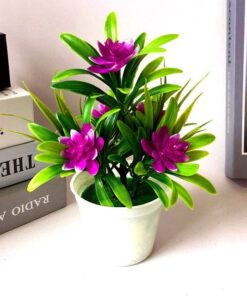 Petal Leaf Succulent