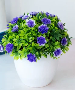 Petal Leaf Succulent