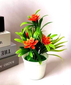 Petal Leaf Succulent