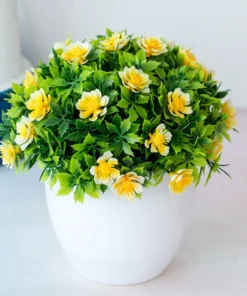 Petal Leaf Succulent