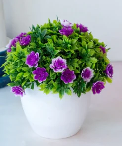 Petal Leaf Succulent