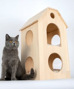 Cat House,Treadmill Tower,Cat House with Treadmill Tower