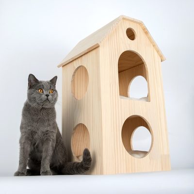 Cat House,Treadmill Tower,Cat House with Treadmill Tower