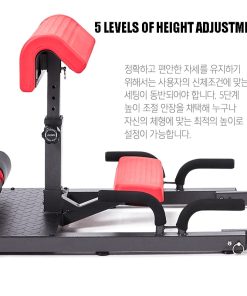 Hip Squat Auxiliary Trainer