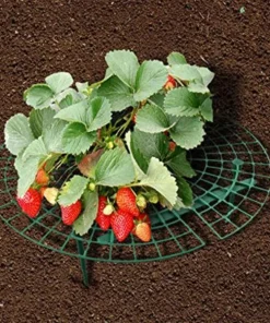 Support Frame,Strawberry Planting,Strawberry Planting Support Frame