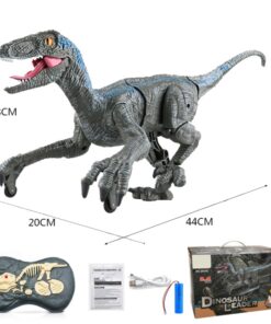 Remote Control Dinosaur,Dinosaur for Children