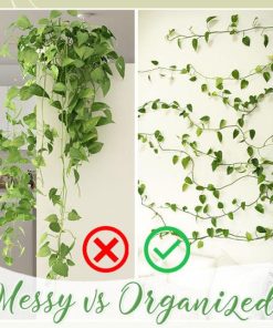 Climbing Plant Wall Fixing Clips,Fixing Clips,Climbing Plant Wall