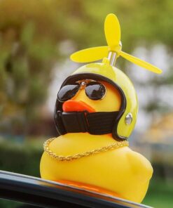 Car Duck