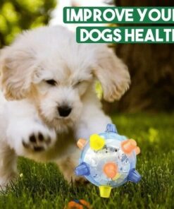 Jumping Activation Ball For Dogs,Jumping Activation Ball,Activation Ball For Dogs,Ball For Dogs