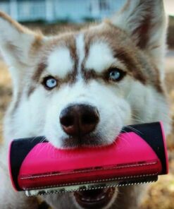 Grooming Brush,Pet Hair Removing.Multifuncional Pet Hair Removing Grooming Brush