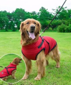 Jacket With Harness,Winter Jacket,Pet Winter Jacket With Harness