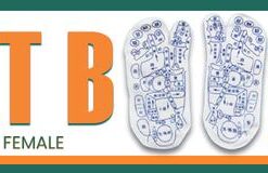 2021 Shiatsu Reflexology Socks,Reflexology Socks,Shiatsu Reflexology