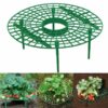 Support Frame,Strawberry Planting,Strawberry Planting Support Frame