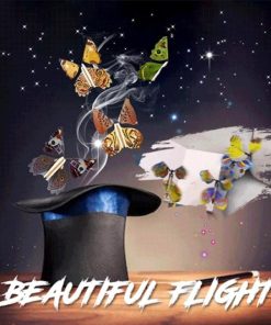 Magic Flying Butterfly,Magic Flying,Flying Butterfly