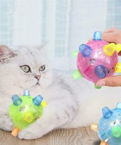 Jumping Activation Ball For Dogs,Jumping Activation Ball,Activation Ball For Dogs,Ball For Dogs