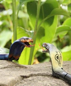 Water Snake Toy,Interactive Cat Toys,Snake Toy