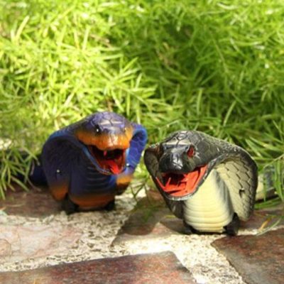 Water Snake Toy,Interactive Cat Toys,Snake Toy