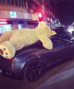 Worlds Largest Teddy Bear,Largest Teddy Bear