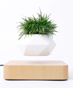 Levitating Plant,Levitating Plant Pot