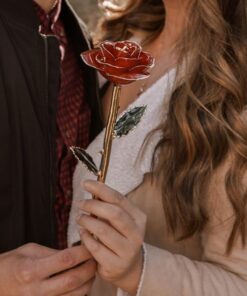 24k Gold Dipped Rose,Gold Dipped Rose,Dipped Rose
