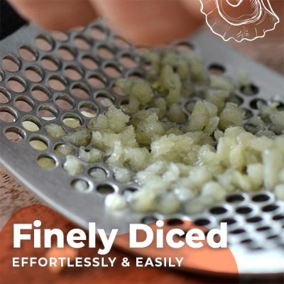 Stainless Steel Garlic Presser,Garlic Presser