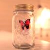 Butterfly Jar,Magic Butterfly Jar