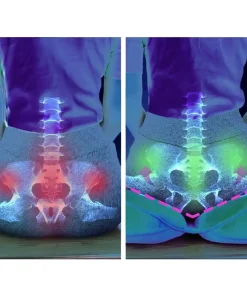 Ergonomic Hip Cushion Posture Corrector,Hip Cushion