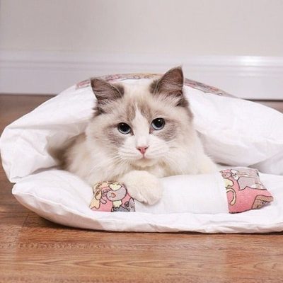 Bed With Pillow,Cat Bed With Pillow,Cat Bed