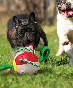 Soccer Ball Dog Toy,Soccer Ball Toy