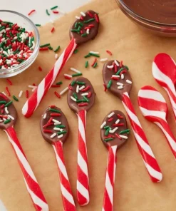 Chocolate Spoon Mold