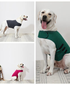 Dog Anxiety Vest