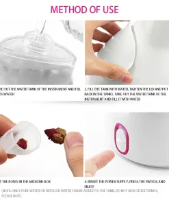 Nano Ionic Facial Steamer