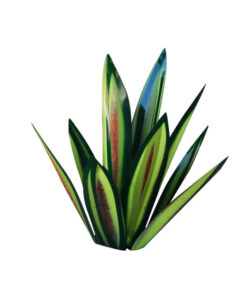 Metal Century Plant,Century Plant