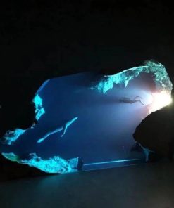 Shark Night Light