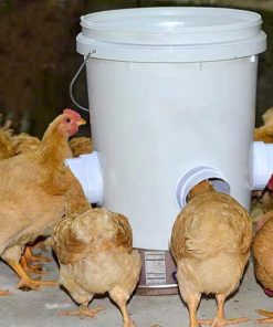 DIY Chicken Feeder