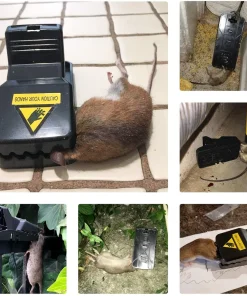 Highly Sensitive Reusable Mouse Traps