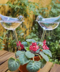 Self-Watering Plant Glass Bulbs