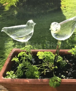 Self-Watering Plant Glass Bulbs