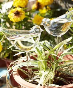 Self-Watering Plant Glass Bulbs