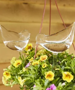 Self-Watering Plant Glass Bulbs