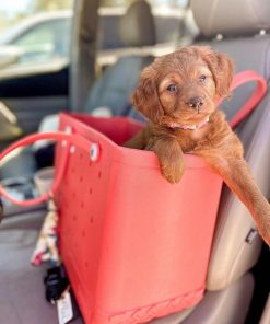 Bogg Bag - Beach Storage Bag