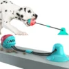 Dog Sucker Toy