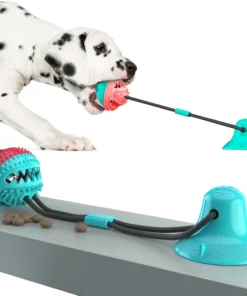 Dog Sucker Toy