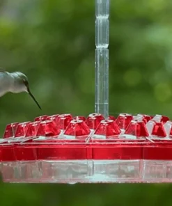 Mary's Sweety Hummingbird Feeder