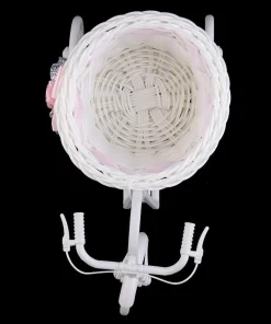 Arhae Tricycle Bike Flower Basket