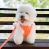 Dog Harness Vest Leash