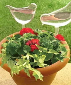 Self-Watering Plant Glass Bulbs