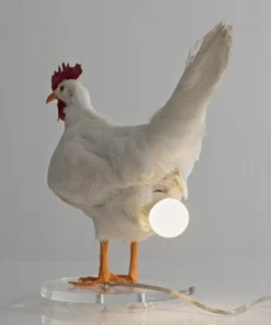 This Taxidermy Chicken Egg Lamp Exists